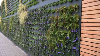 Green City Wall Rechenzentrum Das grüne Rechenzentrum der badenIT bindet mit der Green City Wall jährlich 1 Tonne CO2.
